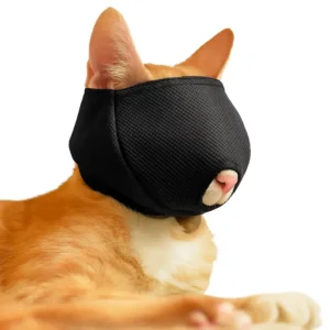 A ginger cat wearing a black mesh muzzle with an opening at the tip of the nose to allow for easier breathing.