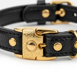 Close-up of an ornate, secure buckle on a luxury cat collar, emphasizing durability and elegant design.