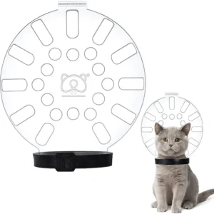 A cat collar with a round, transparent plastic shield attached, which acts as a muzzle to prevent the cat from biting or licking wounds.