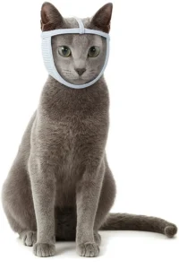 An elegant grey cat wears a fabric head holder, a tool designed to help keep a cat calm and secure during grooming sessions.