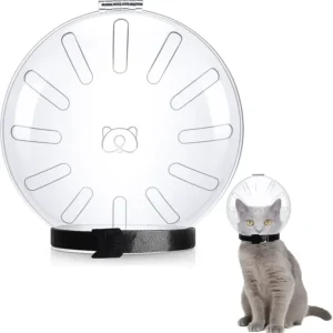 A helmet-style transparent plastic muzzle for a cat, featuring ventilation slots to observe the cat's expression while ensuring safety.