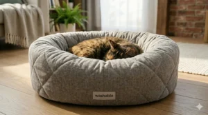 Illustration of a donut-shaped washable cat bed designed to reduce pet anxiety.
