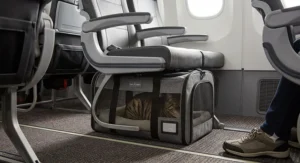 Airline-approved expandable cat carrier stowed neatly under a commercial airplane seat