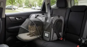 Expandable cat carrier safely strapped into a car back seat with a seatbelt for road trips