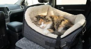 Fluffy longhair cat napping inside a plush fleece washable lining of a cozy cat car seat.