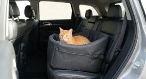 Orange tabby cat sitting in a waterproof bucket-style cat car seat installed on the back seat cushion.