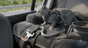 Illustration of a heavy-duty cat seatbelt tether attached to a harness for secure vehicle travel.