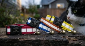 Set of vibrant adjustable reflective cat collars in red, blue, orange, and yellow hues.