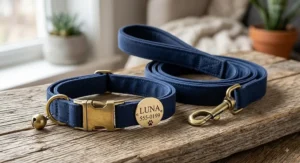 Matching personalized cat collar and walking leash set featuring a custom laser-etched nameplate.