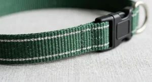 Close-up illustration of durable nylon cat collar with double-stitched reflective thread for night visibility.