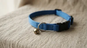 Essential safety cat supplies for kittens featuring a lightweight breakaway collar with a tiny bell